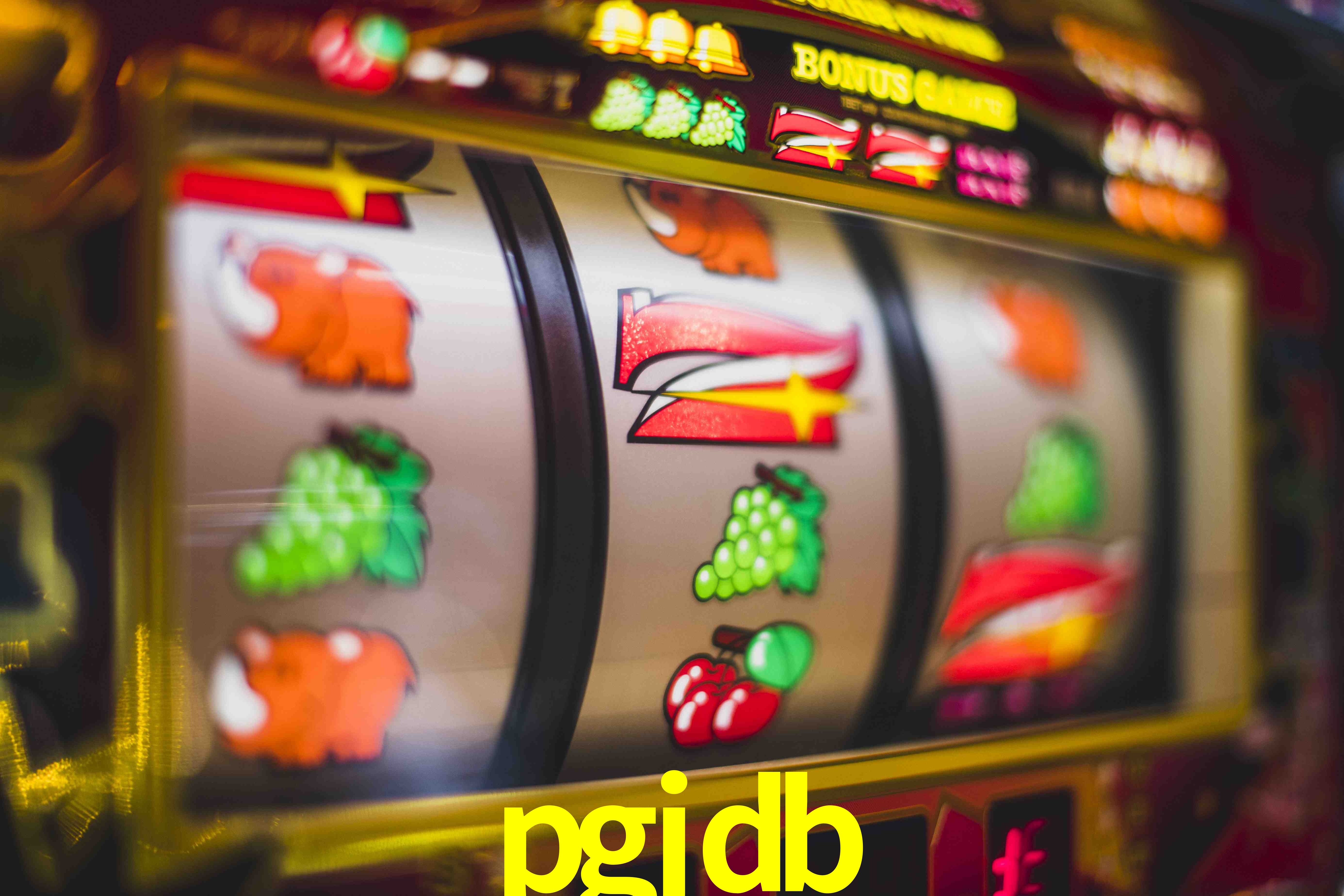 Football Betting pgjdb